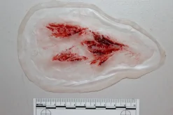 ForensicFX Studios Arm Lacerations/Cuts Prosthetic></noscript> Halloween Accessories