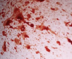 ForensicFX Studios Blood Splatter Spray><noscript><img width=