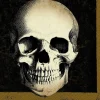 Amscan Boneyard Lunch Napkins Pack Of 6> Scary Skeletons
