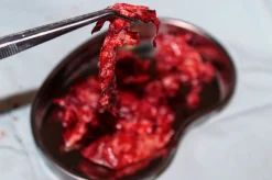 ForensicFX Studios Brain Tissue Specimen Gift Kit></noscript> Halloween Accessories