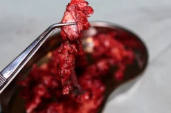 ForensicFX Studios Brain Tissue Specimen Gift Kit></noscript> Halloween Accessories