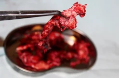 ForensicFX Studios Brain Tissue Specimen Gift Kit></noscript> Halloween Accessories