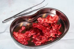 ForensicFX Studios Brain Tissue Specimen Gift Kit></noscript> Halloween Accessories