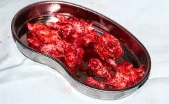 ForensicFX Studios Brain Tissue Specimen Gift Kit></noscript> Halloween Accessories