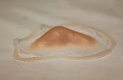 ForensicFX Studios Bruised Broken Nose With Cut Prosthetic> Halloween Accessories