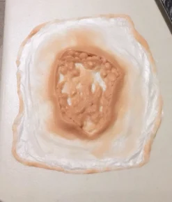 ForensicFX Studios Deep Fatty Tissue Wound Prosthetic><noscript><img width=