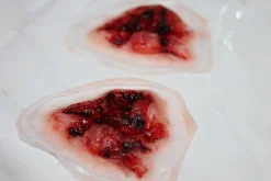 ForensicFX Studios Deep Gauged Out Eye Prosthetic><noscript><img width=