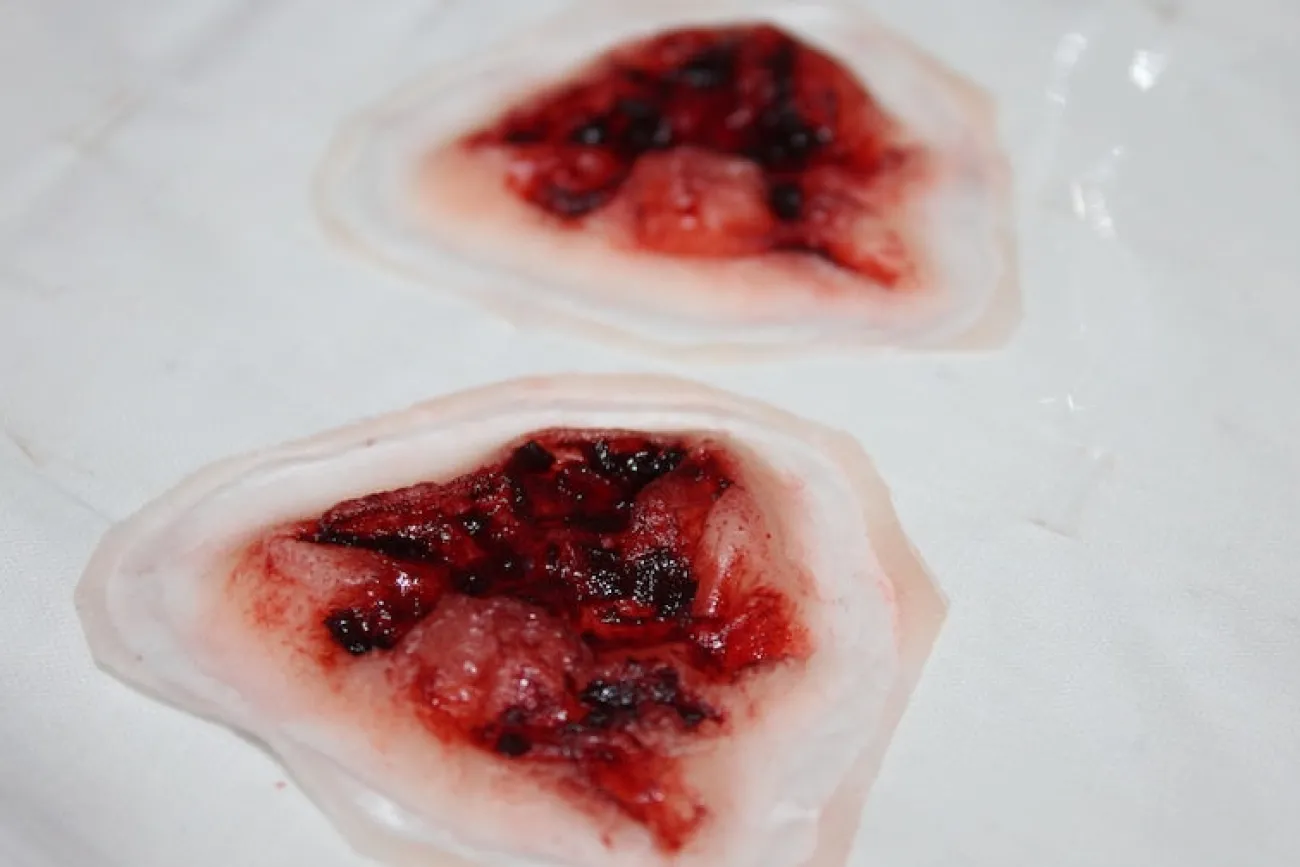 ForensicFX Studios Deep Gauged Out Eye Prosthetic> Halloween Accessories