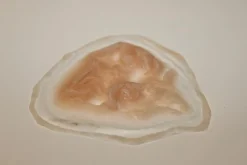 ForensicFX Studios Deep Gauged Out Eye Prosthetic><noscript><img width=