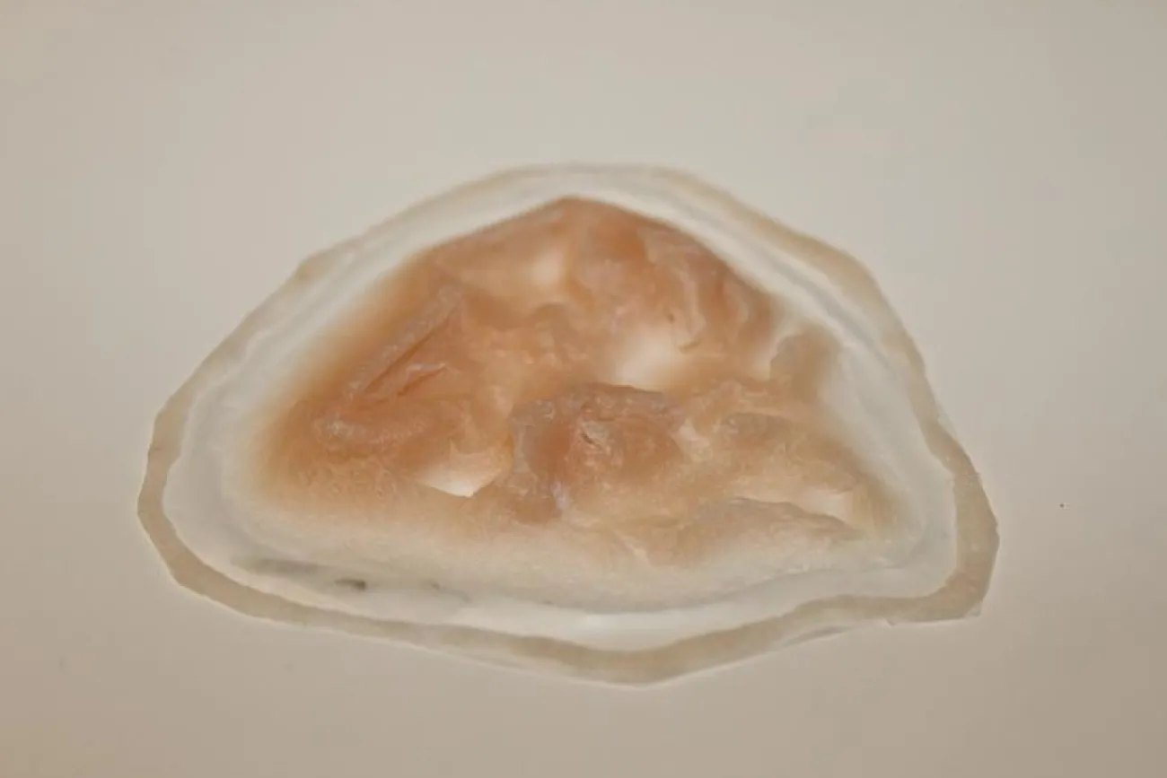 ForensicFX Studios Deep Gauged Out Eye Prosthetic> Halloween Accessories