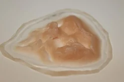 ForensicFX Studios Deep Gauged Out Eye Prosthetic><noscript><img width=