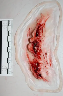ForensicFX Studios Deep Neck Wound Prosthetic><noscript><img width=