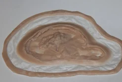 ForensicFX Studios Deep Rotting Infected Necrosis Prosthetic> Halloween Accessories