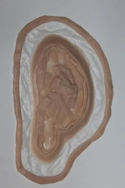 ForensicFX Studios Deep Rotting Infected Necrosis Prosthetic> Halloween Accessories