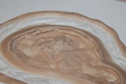 ForensicFX Studios Deep Rotting Infected Necrosis Prosthetic><noscript><img width=