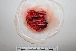 ForensicFX Studios Exposed Hand Ligaments Prosthetic><noscript><img width=