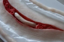 ForensicFX Studios Exposed Slit Throat Prosthetic><noscript><img width=