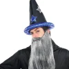 Amscan AU Fairytale Wizard Hat> Halloween Accessories
