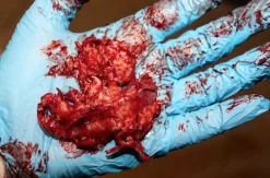 ForensicFX Studios Gorey Halloween Bundle></noscript> Halloween Accessories