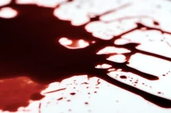 ForensicFX Studios Gorey Halloween Bundle></noscript> Halloween Accessories