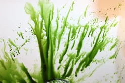 ForensicFX Studios Green Zombie Blood><noscript><img width=