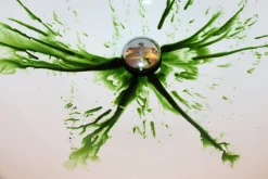 ForensicFX Studios Green Zombie Blood><noscript><img width=