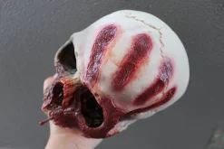 ForensicFX Studios Horror Skull With Bloody Hand Print></noscript> Halloween Accessories