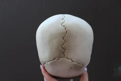 ForensicFX Studios Horror Skull With Bloody Hand Print></noscript> Halloween Accessories