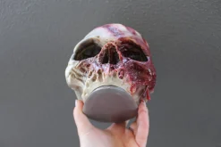 ForensicFX Studios Horror Skull With Bloody Hand Print></noscript> Halloween Accessories