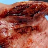 ForensicFX Studios Knife Lacerations Prosthetic> Halloween Accessories