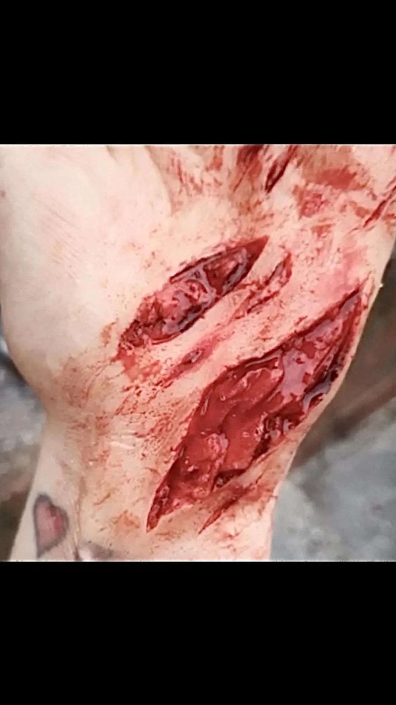 ForensicFX Studios Knife Lacerations Prosthetic> Halloween Accessories