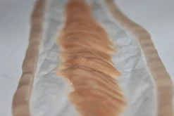 ForensicFX Studios Large Healed Keloid Scar><noscript><img width=