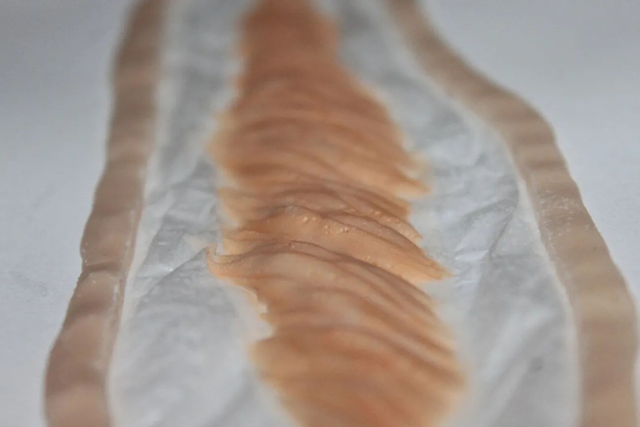 ForensicFX Studios Large Healed Keloid Scar> Halloween Accessories