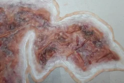 ForensicFX Studios Large Torso Skin Burn Prosthetic><noscript><img width=