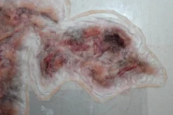 ForensicFX Studios Large Torso Skin Burn Prosthetic><noscript><img width=