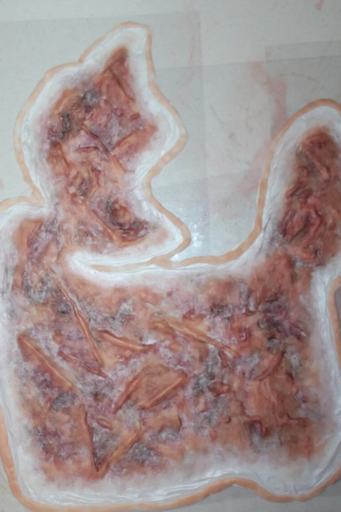 ForensicFX Studios Large Torso Skin Burn Prosthetic> Halloween Accessories