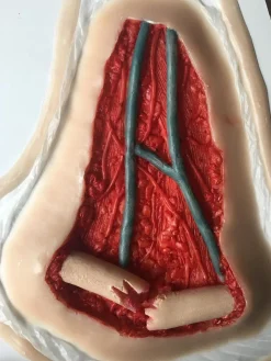 ForensicFX Studios Open Collarbone Wound Prosthetic><noscript><img width=