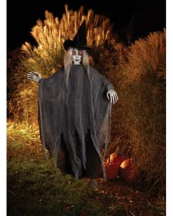 Fun World Photoreal Light Up Hanging Witch 1.5M> Wicked Witches