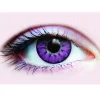 Tomfoolery Primal 14Mm Deep Purple Contact Lenses> Halloween Accessories