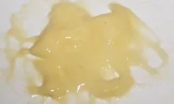 ForensicFX Studios Pus Makeup Effect Gel><noscript><img width=