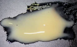 ForensicFX Studios Pus Makeup Effect Gel><noscript><img width=