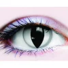 Tomfoolery Reptile Primal 14.5Mm Grey Contact Lenses> Halloween Accessories