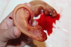 ForensicFX Studios Severed Body Parts Bundle><noscript><img width=