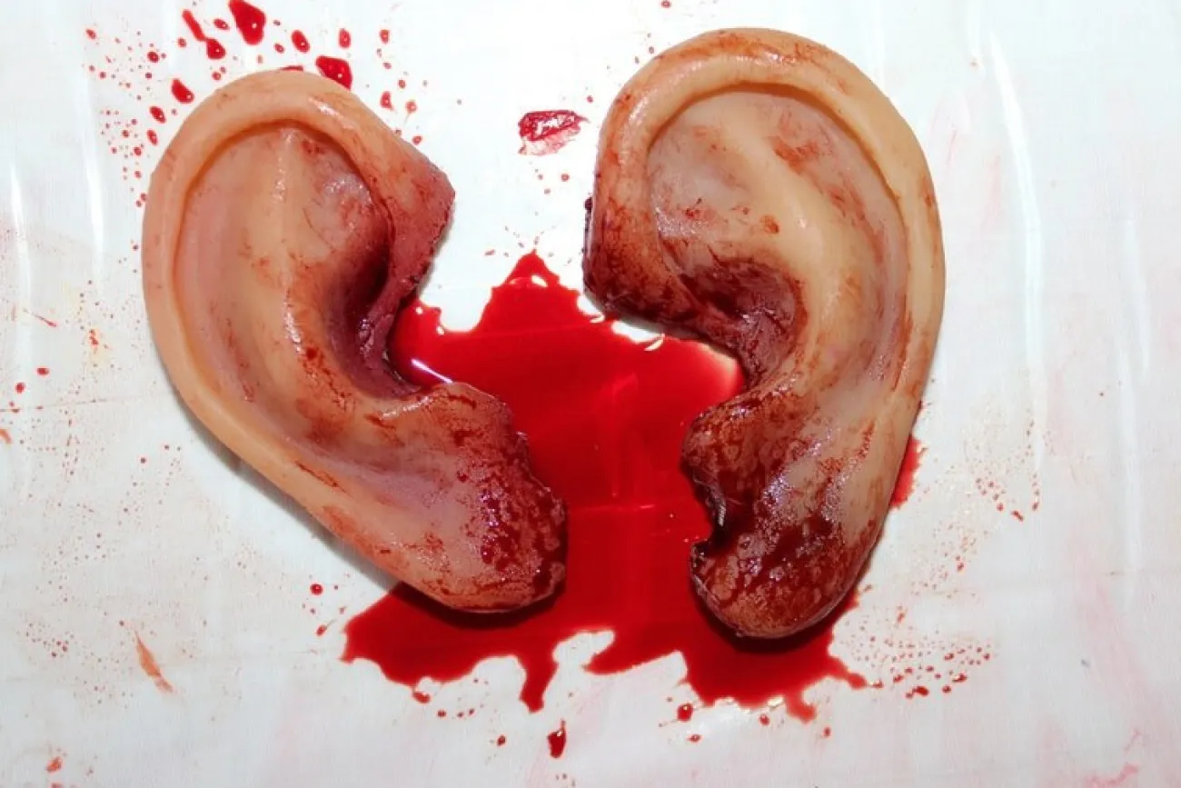 ForensicFX Studios Severed Body Parts Bundle> Halloween Accessories