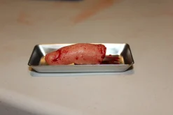ForensicFX Studios Severed Finger Prop On Medical Metal Tray><noscript><img width=