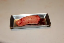 ForensicFX Studios Severed Finger Prop On Medical Metal Tray><noscript><img width=