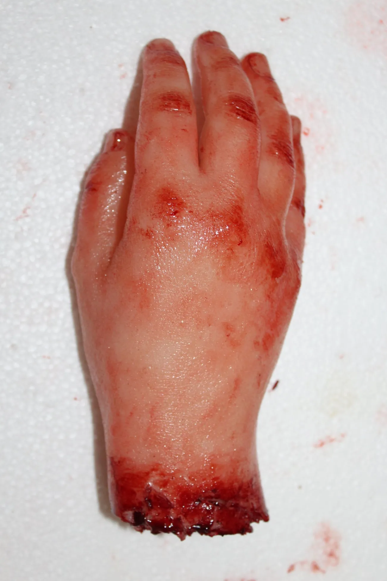 ForensicFX Studios Severed Hand Prop> Halloween Accessories