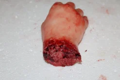 ForensicFX Studios Severed Hand Prop><noscript><img width=