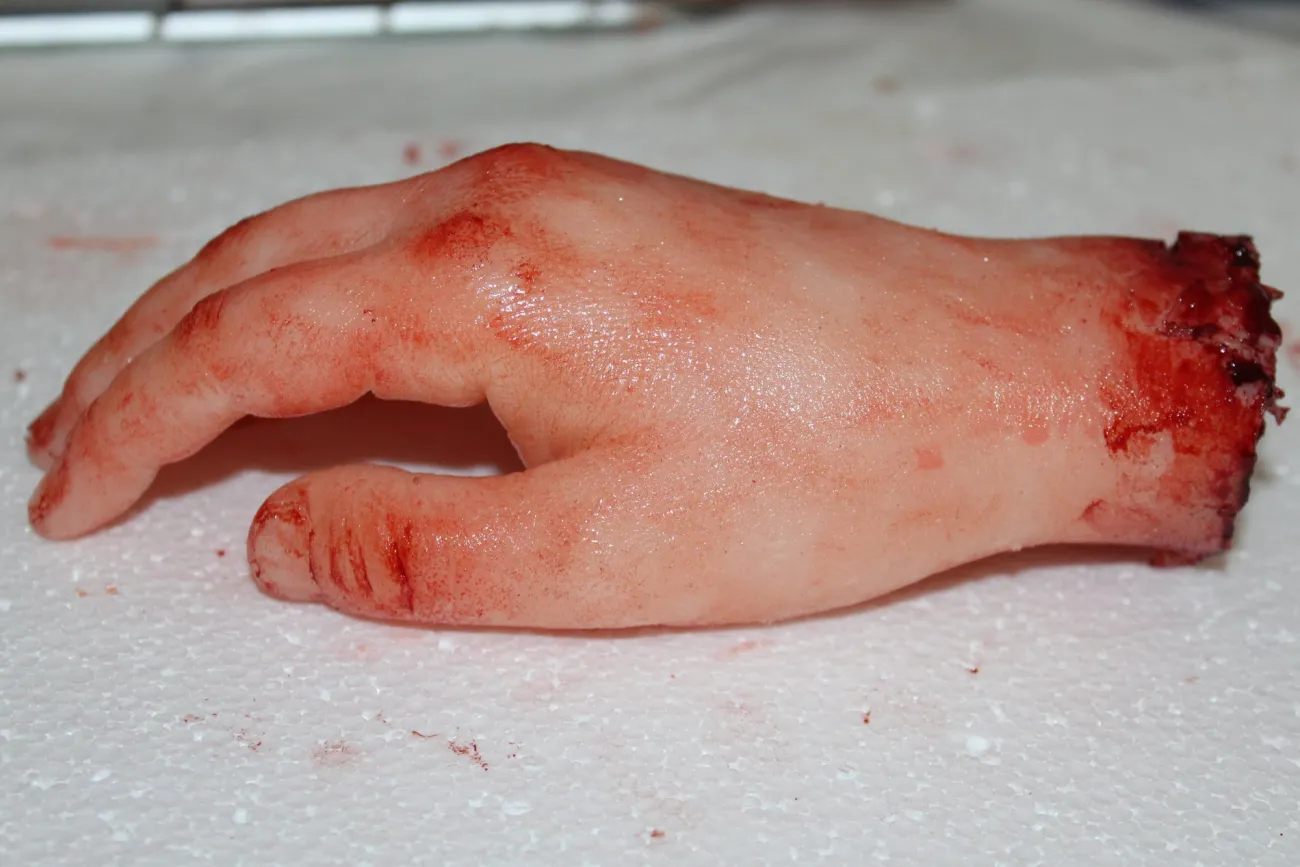 ForensicFX Studios Severed Hand Prop> Halloween Accessories