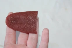 ForensicFX Studios Severed Tongue Prop><noscript><img width=